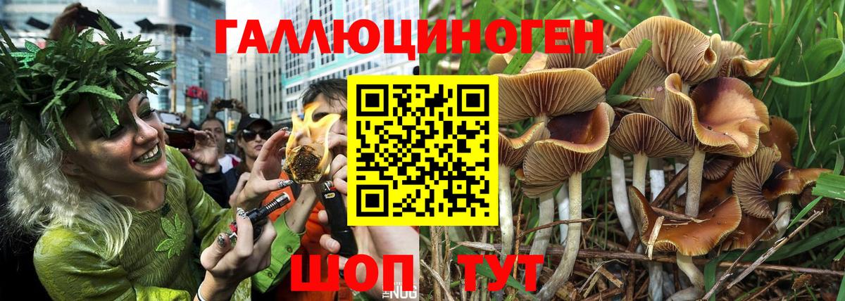 Вятские Поляны  Псилоцибиновые грибы мухоморы  Галлюциногенные грибы Psilocybine cubensis  Вход с VPN 