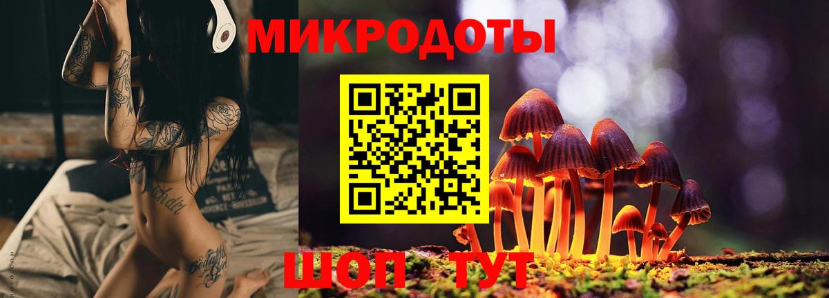 Псилоцибиновые грибы мухоморы Вятские Поляны